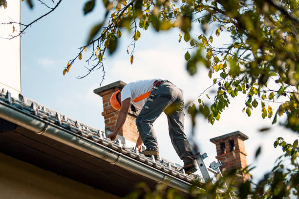 Best Roof Gutter Cleaning  in Vivian, LA